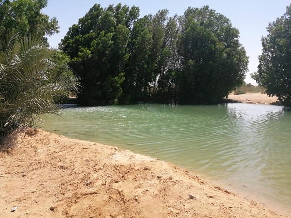 وادي غرندل